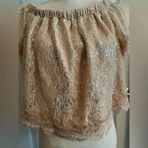 Revolve Endless Rose Off The Shoulder Shimmer light pink & silver top size M NWT - Picture 13 of 16